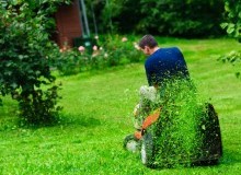 Kwikfynd Lawn Mowing
kyarran